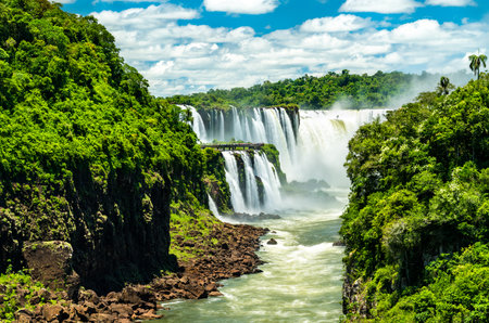View from the jungle to Iguazu Falls in Argentinaの写真素材