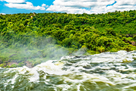 Iguazu Falls in a tropical rainforest in Argentinaの写真素材