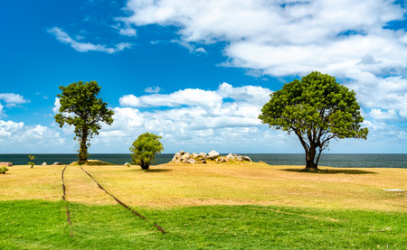 Remains of railway tracks in Montevideo, Uruguay