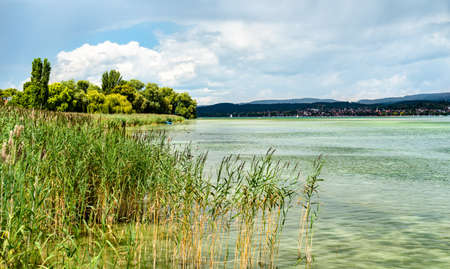 View of Lake Constance from Reichenau Island in Germanyの写真素材