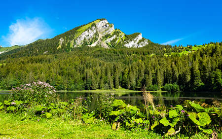Landscape of Obersee lake in Swiss Alpsの写真素材