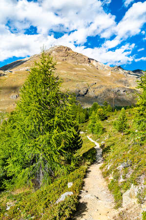 View of Swiss Alps near Zermattの写真素材