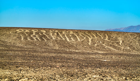 Aerial View of Palpa Geoglyphs in Peruの写真素材