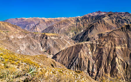 Scenery of the Colca Canyon in Peruの写真素材