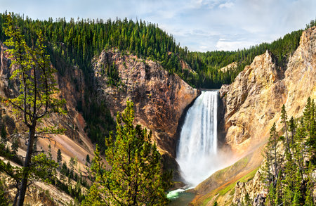 Lower Falls of the Yellowstone River at Yellowstone National Park. UNESCO world heritage in Wyoming, United Statesの写真素材