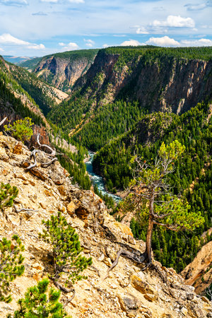 Grand Canyon of the Yellowstone at Yellowstone National Park. UNESCO world heritage in Wyoming, United Statesの写真素材