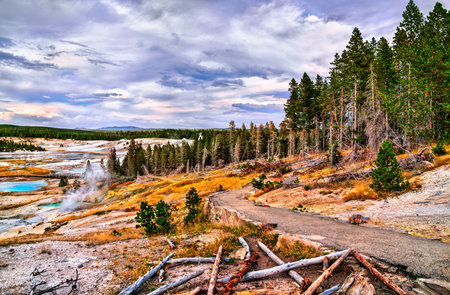 Norris Geyser Basin Loop Trail at Yellowstone National Park in Wyoming, United Statesの写真素材