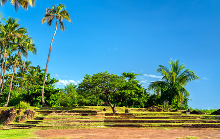 Tropical Park at Buzare Point in Cayenne - French Guiana, South Americaの写真素材