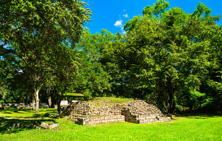 Small, partially excavated Maya platform at the las Sepulturas complex near Copan in Honduras,...