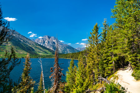 Jenny Lake trail at Grand Teton National Park in Wyoming, United Statesの写真素材