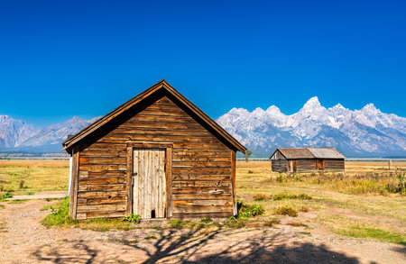 A small log cabin stands beside a bare tree in the Mormon Row Historic District of Grand Teton National Park, with the Teton Range rising dramatically in the background under a clear blue sky.の写真素材