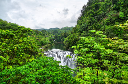 Shifen Waterfall in Pingxi District of New Taipei, Taiwan, cascades powerfully into a turquoise pool amid dense green foliage, offering a scenic and tranquil natural attraction often called the Little Niagara of Taiwanの写真素材