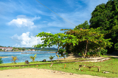Turquoise lagoon laps Long Island Park Beach in Koror, Palau, where lawn, shady trees, and a picnic bench overlook calm Pacific waters and distant village rooftops under a bright sky.の写真素材
