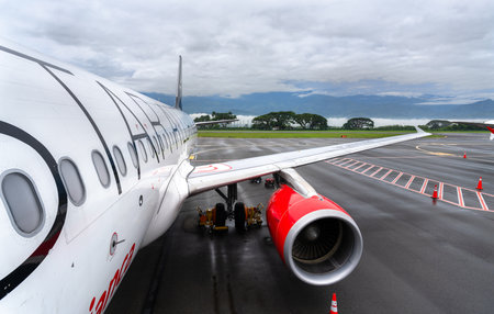 Armenia, Colombia - October 23, 2025: Close-up of an Avianca Airbus A320 parked on the tarmac at El Eden International Airport. The aircrafts engine and wing are visible against a cloudy skyのeditorial素材