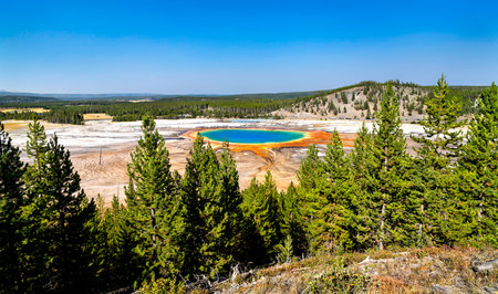 Grand Prismatic Spring displays rainbow colors from overlook in Yellowstone National Park Wyoming. Hot spring features blue center and orange microbial mats bordered by green pine forestの写真素材