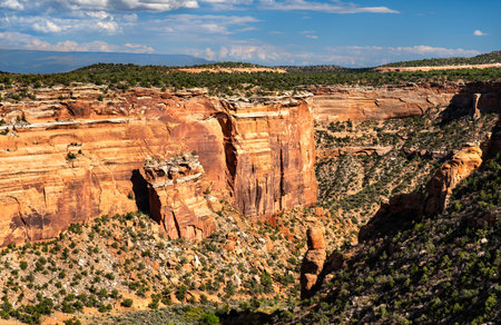Ute Canyon stretches deep into Colorado National Monument near Grand Junction, USA. Vertical sandstone walls of Wingate and Kayenta formations rise above canyon floor covered in green vegetationの写真素材