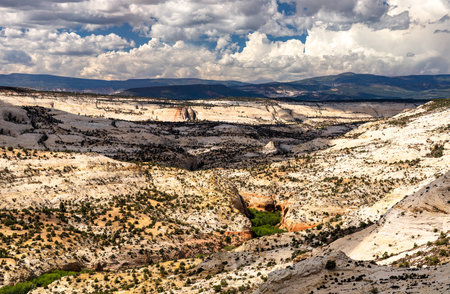 Scenic view of Calf Creek Canyon from Utah State Route 12 in Grand Staircase-Escalante National Monument. Lush green vegetation lines the creek bottom surrounded by sandstone cliffs under a cloudy skyの写真素材