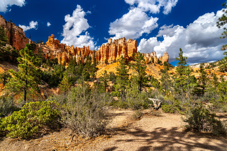 Orange hoodoo rock formations rise above pine trees in Bryce Canyon National Park Utah. Scenic landscape features geologic spires under blue sky with cloudsの写真素材