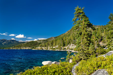 Blue waters of Lake Tahoe splash against granite rocks on East Shore Nevada. Scenic landscape features green pine trees and Sierra Nevada mountains under blue skyの写真素材