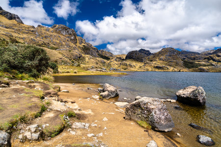 Laguna Toreadora sits among tussock grass in Cajas National Park, Ecuador. High altitude paramo landscape features glacial lake and rocky shore near Cuenca under cloudy skyの写真素材