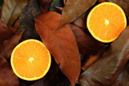 background made with brown leafs and oranges .