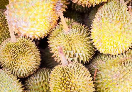 many fresh durians on asian market.の写真素材