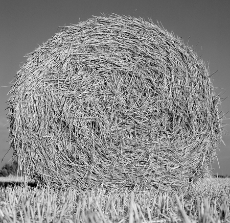 Bales of hay in the Lincolnshire Wolds near Tealby, Lincolnshire, UK - October 2007の写真素材