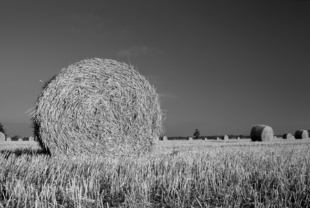 Bales of hay in the Lincolnshire Wolds near Tealby, Lincolnshire, UK - October 2007の写真素材