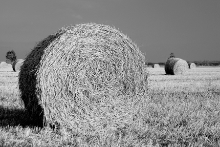 Bales of hay in the Lincolnshire Wolds near Tealby, Lincolnshire, UK - October 2007の写真素材