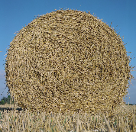 Bales of hay in the Lincolnshire Wolds near Tealby, Lincolnshire, UK - October 2007の写真素材