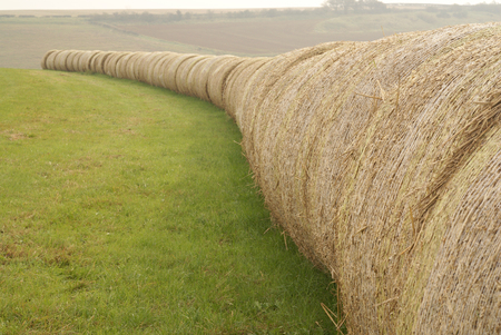 Bales of hay in the Lincolnshire Wolds near Tealby, Lincolnshire, UK - October 2007