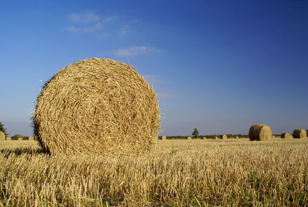 Bales of hay in the Lincolnshire Wolds near Tealby, Lincolnshire, UK - October 2007の写真素材