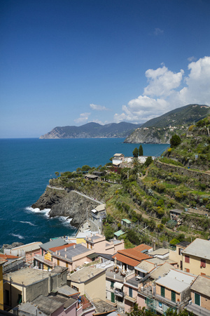A view of the houses on the hillside in the Cinque Terre village of Manarola in La Spezia, Liguria, Italy - 16th May 2016の写真素材