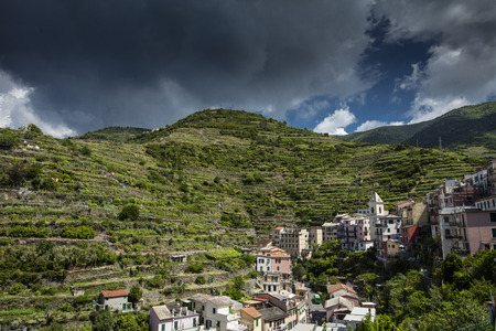 A view of the houses on the hillside in the Cinque Terre village of Manarola in La Spezia, Liguria, Italy - 16th May 2016の写真素材