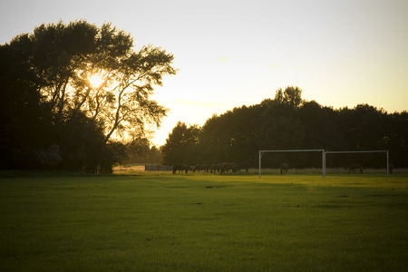 A view of the West Common, Lincoln, Lincolnshire, United Kingdom - August 2009のeditorial素材