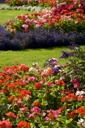 View of the Arboretum in the east end of Lincoln, Lincolnshire, UK - August 2009のeditorial素材