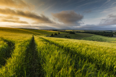 Bluestone Heath Road, Lincolnshire, UK, Landscape view of the Lincolnshire Woldsの写真素材