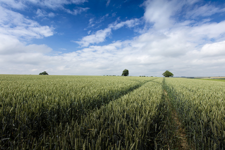 Near Nettleton, Lincolnshire, UK,  Landscape view of the Lincolnshire Woldsの写真素材