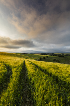 Bluestone Heath Road, Lincolnshire, UK,  Landscape view of the Lincolnshire Woldsの写真素材
