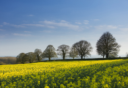 Near Normanby, Lincolnshire, UK,  View of Lincolnshire Wolds from Viking Wayの写真素材