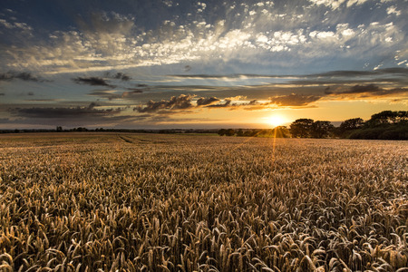 Near Caistor, Lincolnshire, UK,  View of Lincolnshire Wolds and a sunsetの写真素材