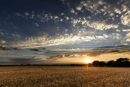 Near Caistor, Lincolnshire, UK, View of Lincolnshire Wolds and a sunsetの写真素材