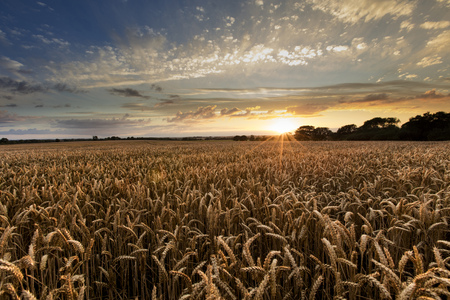 Near Caistor, Lincolnshire, UK, View of Lincolnshire Wolds and a sunsetの写真素材