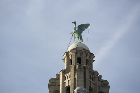 Liverpool, UK, 24th June 2014, the Royal Liver Building again blue sky during the daytimeのeditorial素材
