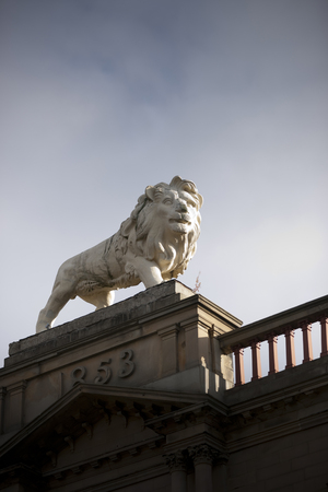 Huddersfield, West Yorkshire, UK, October 2013, lion statue on Lion Arcade, John William Street, Huddersfieldのeditorial素材