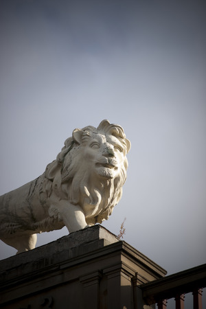Huddersfield, West Yorkshire, UK, October 2013, lion statue on Lion Arcade, John William Street, Huddersfieldのeditorial素材