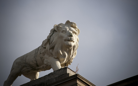Huddersfield, West Yorkshire, UK, October 2013, lion statue on Lion Arcade, John William Street, Huddersfieldのeditorial素材