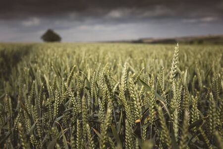 Lincolnshire Wolds, East Midlands, UK, May 2019, View of the lincolnshire countrysideの写真素材