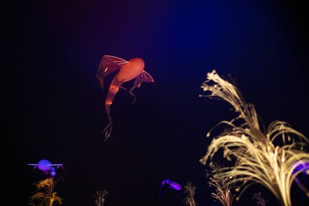 Lyon, France, Europe, 6th December 2019, view of the Fetes des Lumieres aka festival of light and the Praire Ephemere installationのeditorial素材