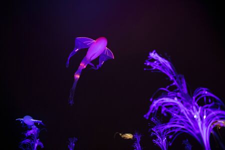 Lyon, France, Europe, 6th December 2019, view of the Fetes des Lumieres aka festival of light and the Praire Ephemere installationのeditorial素材